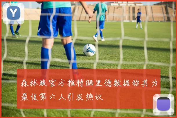 森林狼官方推特晒里德数据称其为最佳第六人引发热议